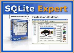 Download SQLite Expert Professional Full