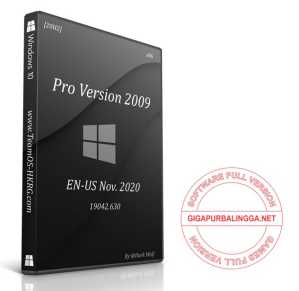 Download Windows 10 Pro 20H2 ISO
