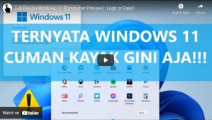 Review windows 11