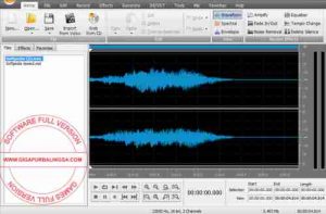 AVS Audio Editor Full Patch1