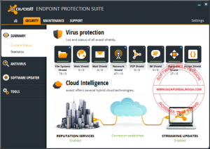 Avast Endpoint Protection Suite Full2