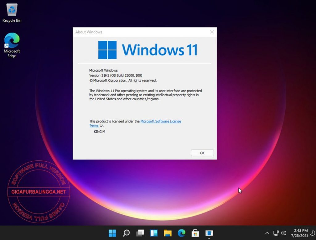 Download Windows 11 Pro 21H2 22000.100
