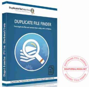 Duplicate File Detective Enterprise Full Version