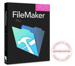 Download FileMaker Pro Full Crack