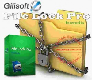 Gilisoft File Lock Pro Full Version