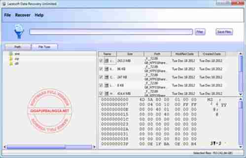 Lazesoft Data Recovery Unlimited Edition Full Version1