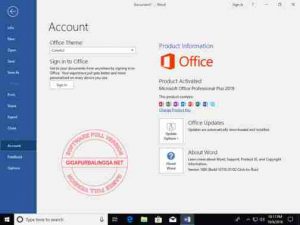 Microsoft Office 2019 Pro Plus Retail gen2 x86x64 en-us Oct 2018 Full Version1