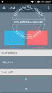 RAM Manager Pro Apk1