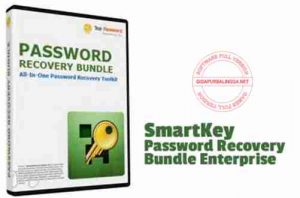 SmartKey Password Recovery Full Version