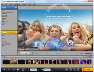SolveigMM Video Splitter 5.0.1505.19 Business Edition Full Serial1