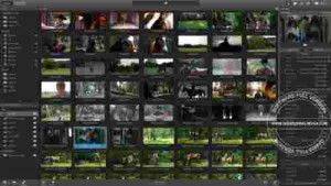 Sony Catalyst Production Suite Full3