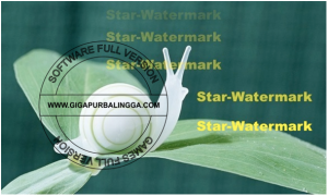 Download Star Watermark Ultimate v1.1.3 Full Serial2