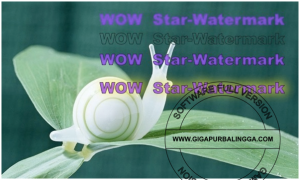 Download Star Watermark Ultimate v1.1.3 Full Serial3
