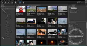 Studioline Photo Pro Full Version