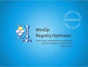 WinZip Registry Optimizer Full Crack