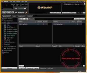 Winamp Pro 5.666 Build 3516 Final Full Version1