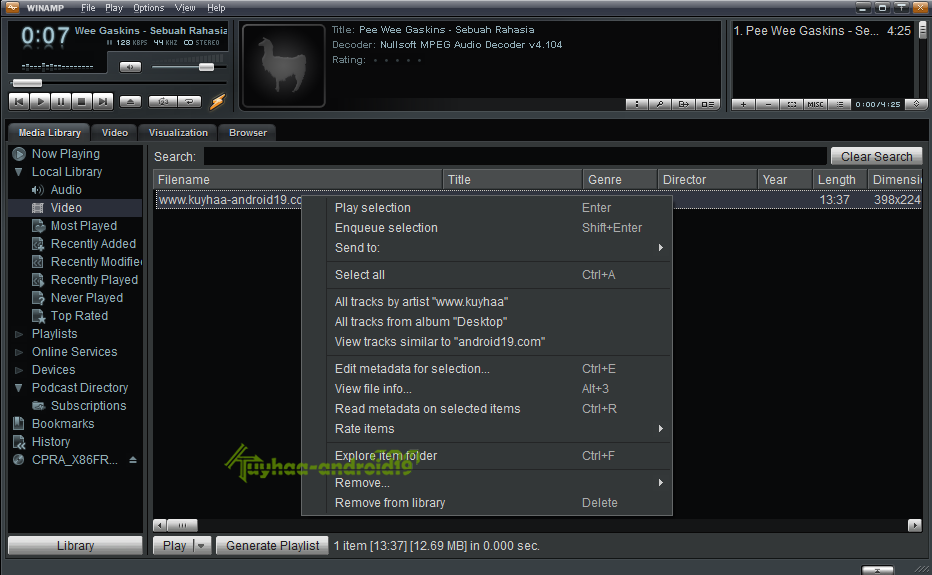 Winamp Pro