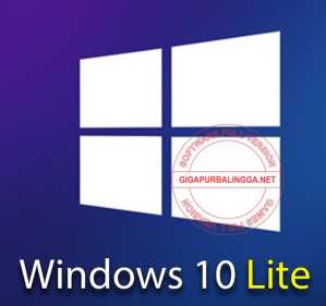 Windows 10 Pro Lite Edition 21H1
