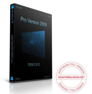 Windows 10 Pro 2009