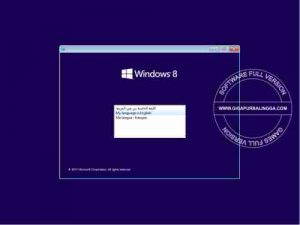 Windows 8.1 Professional Juli 20161
