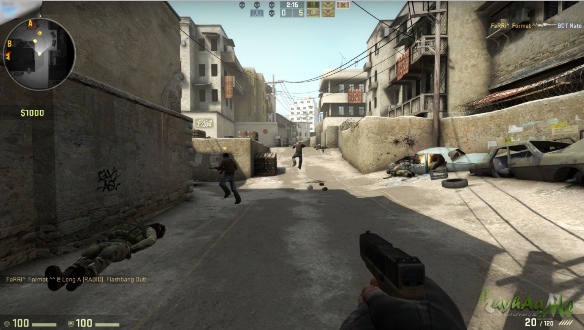 counter strike global offensive