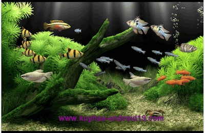  DREAM AQUARIUM 1.2592 SCREENSAVER