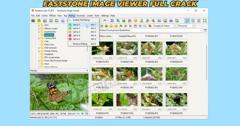 FastStone Image Viewer Download latest version 2024