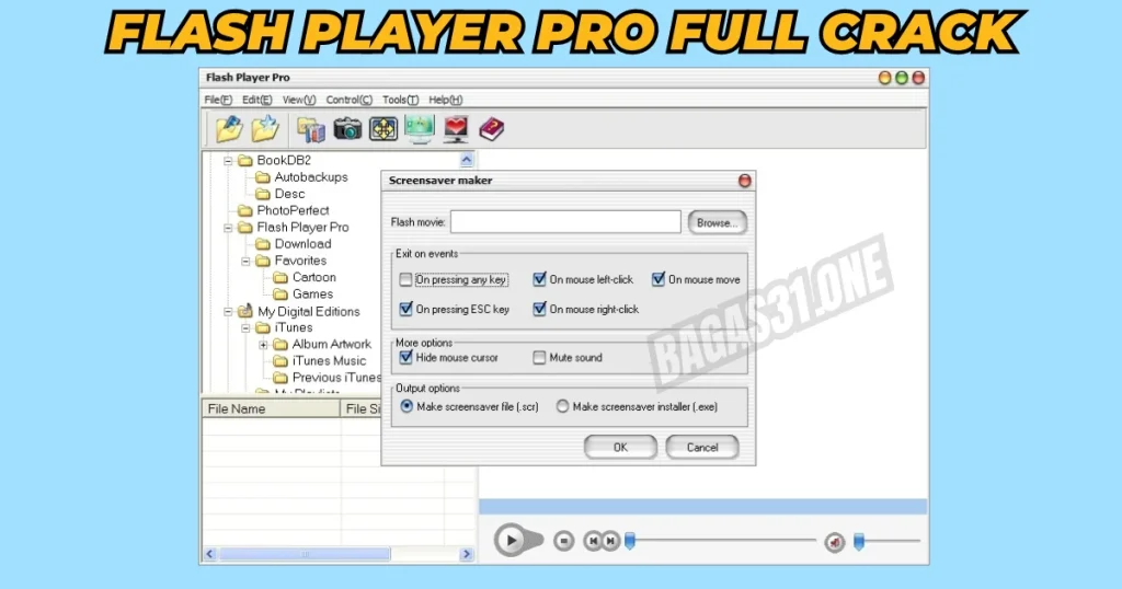 Flash Player Pro Download Latest Version 2024