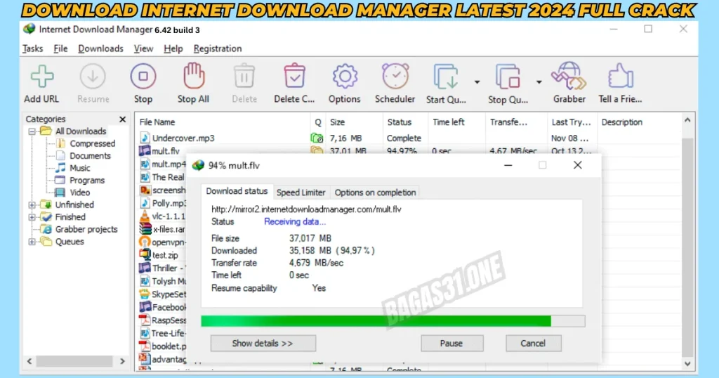 Internet Download Manager 2024 Download latest version 2024