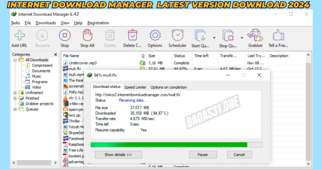 Internet Download Manager Download latest version 2024
