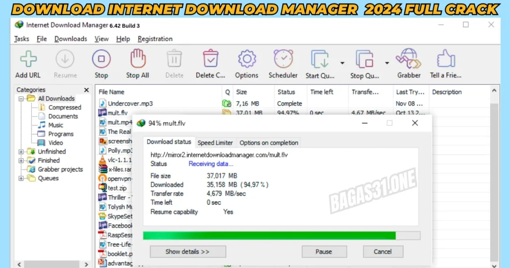 Internet Download Manager Download latest version 2024