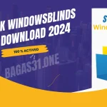 StarDock WindowsBlinds Crack