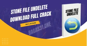 Stone File Undelete 2024