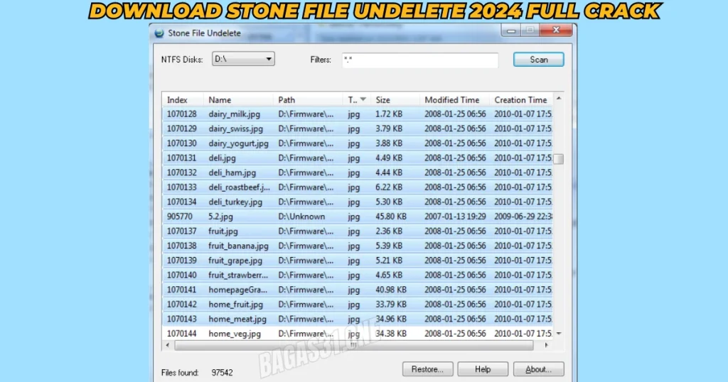 Stone File Undelete Download latest version 2024